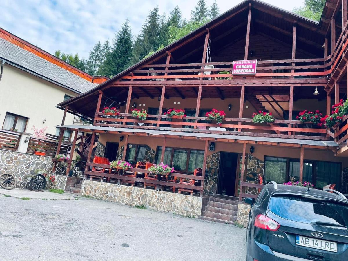 Cabana Loredana Vadu Motilor 外观 照片